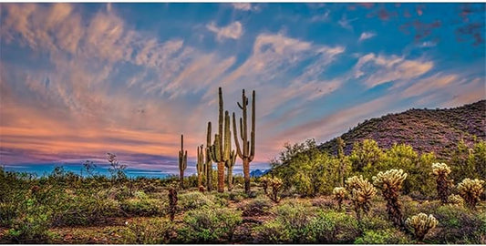 AWERT 72x16 inches Terrarium Background Blue Sky Cloud Huge Cactus Oasis Gobi Reptile Habitat Background Vinyl