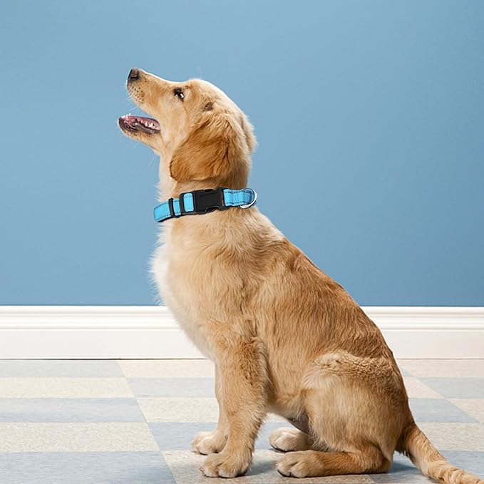 Reflective Dog Collar, Adjustable Soft Neoprene Padded Nylon Pet Collars with Buckle for Puppy and Small Dogs, Cats, Sky Blue,XS