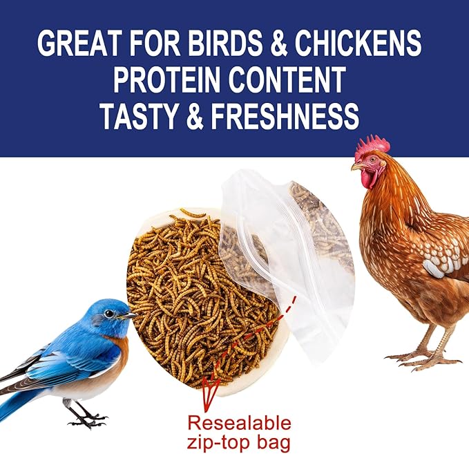 RANZ 20LBS Non-GMO Dried Mealworms for Chickens, High Protein Meal Worms, Premium Chicken Feed, Whole Large Mealworms for Blue Birds, Ducks, Fish