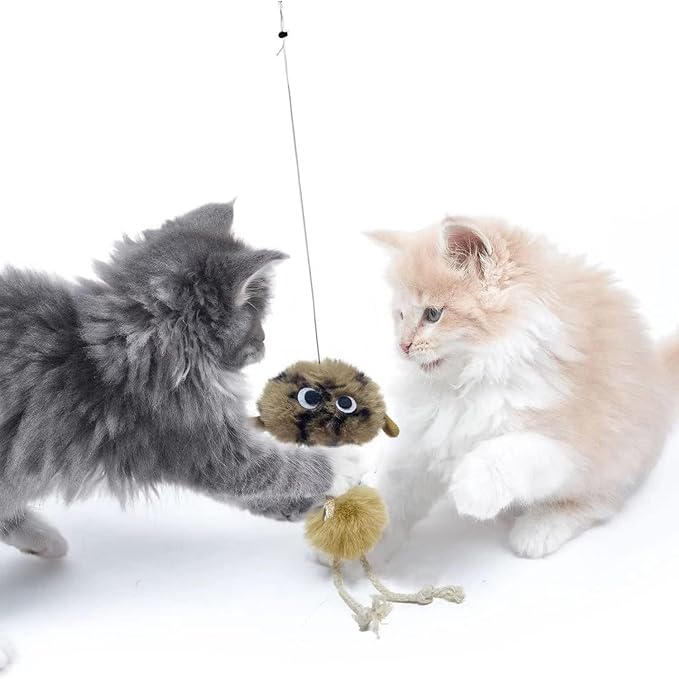 Cat Toys for Indoor Cats,Interactive Door Hanging Cat Toys Attached with Catnip/Feathers/Birds/Worm Toys for Cats/Kitten Toys(3 Pack)