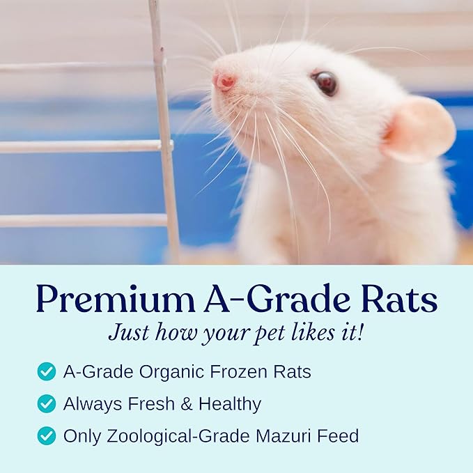 MiceDirect EST. 2003 75 Frozen Mice Small Adult Feeders Snake Food for Juvenile Red Tail Boas Ball Pythons Adult Sand Boas Milks Corn (2.5-3 in) (1425 Grams Min)