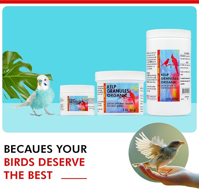 Morning Bird Kelp Granules 3 Oz – Iodine Supplement for Birds – Supports Feather Growth, Molting & Metabolism – Rich in Amino Acids, Trace Minerals & Natural Vitamins – Clean Nutrition for All Birds
