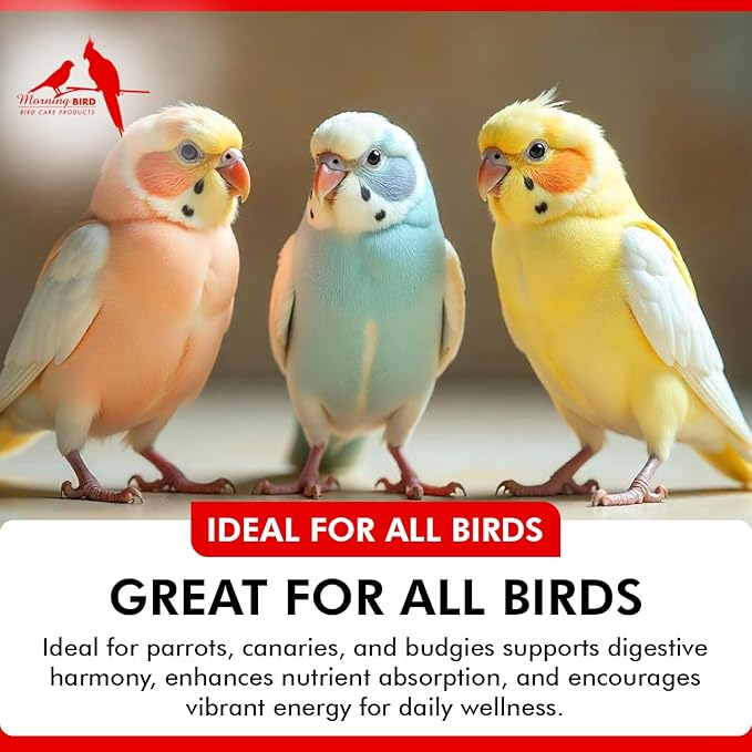 Morning Bird Probiotics for Birds 3 oz – Digestive Health Supplement Supporting Gut Balance, Nutrient Absorption & Immune Support – Easy Mix Powder Supplement for All Bird Species