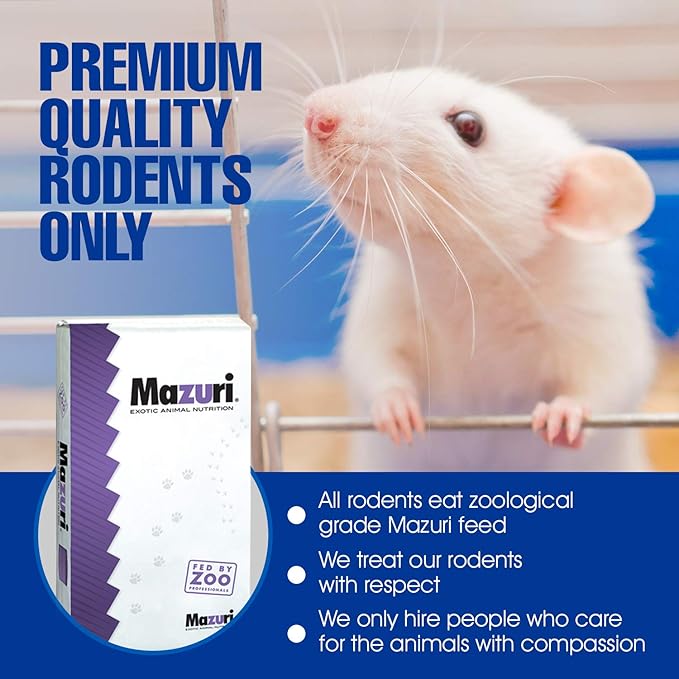 MiceDirect Frozen Mice Combo Pack 50 Fuzzies & 50 Hoppers Frozen Reptile & Snake Food (100 Count)