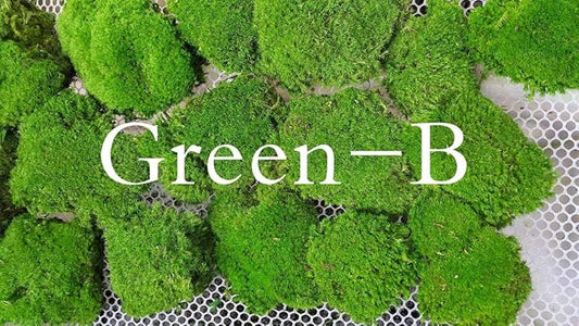 Preserved Pole Moss Pillow Bun Cushion Natural Green Decorative Real Natural Green DIY Kit Terrariums Gardenning Art Wall Decor Florist Decor Easter Table Decor Wedding (3.0 sq.ft., Green-B)