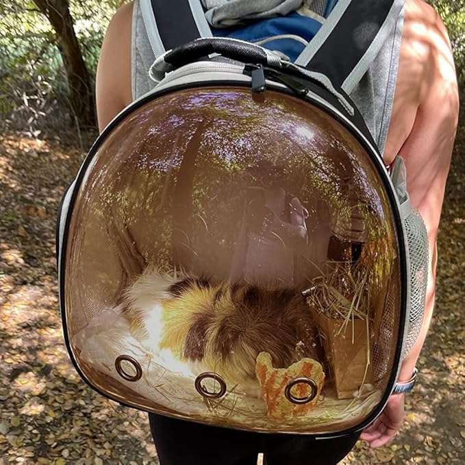 Guinea Pig Carrier, Guinea Pig Backpack with Clear Bubble Window (Black-Polarize, Backpack)
