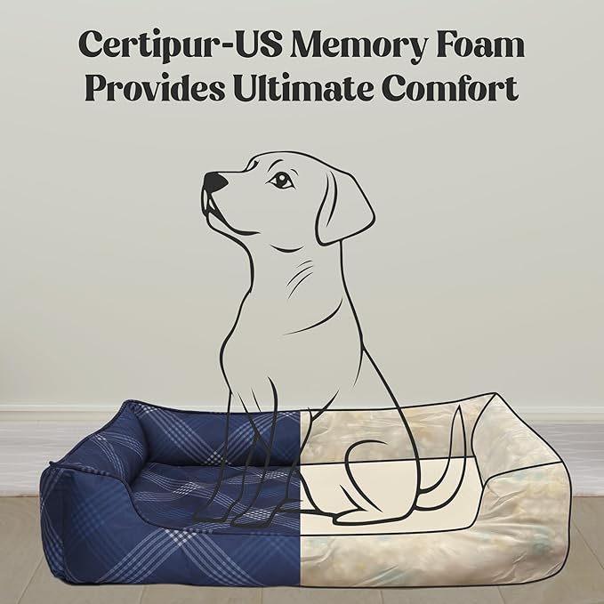 Orthopedic Bolster Dog Bed – CertiPUR-US Foam, Recycled Polyester Canvas, Washable Cover, Anti-Slip Bottom, Small, Light Blue Check – Stylish Designer Dog Sofa