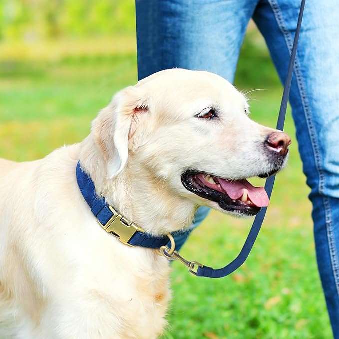 Genuine Leather Dog Collar - Adjustable Pet Collar with Quick Release Metal Buckle, Soft Skin Friendly Real Leather Collar for Small, Medium, Large Dogs (Blue Collar + Rope, L：Fit 15-23" Neck)