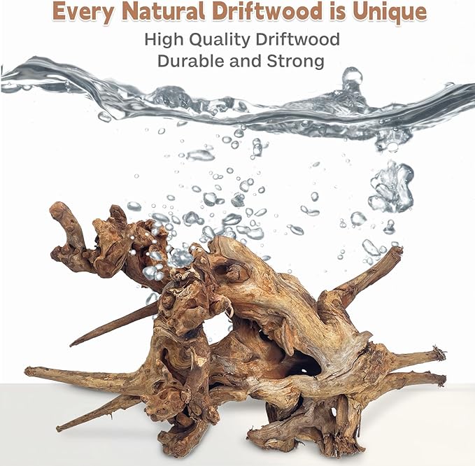 PINVNBY Large Driftwood for Aquarium Fish Tank Decorations Natural Assorted Branches Bearded Dragon Tank Accessories Terrarium Decor for Aquarium Decor (11-18 inches/1 Pack)