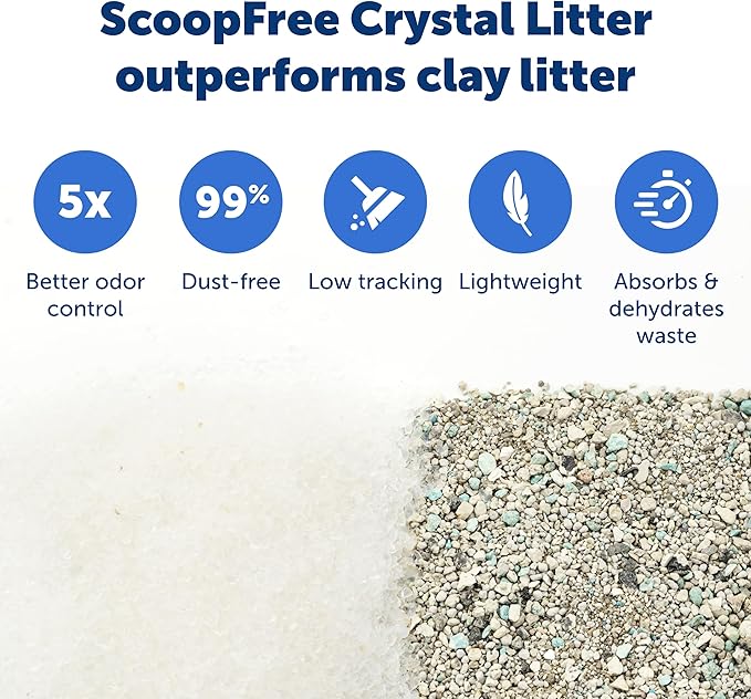 PetSafe ScoopFree Disposable Crystal Cat Litter Tray - Easy Cleaning Box - Refill Tray for Electric Litter Box - Fragrance Free - 4.3 lb Bags - 6 Pack