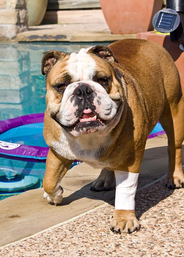 Protective Sleeve Tubular Cover - Bandages - for Dogs Cats and Other Pets First Aid Wound Care Comfortable Non-Adhesive Breathable & Water Resistant 18 Strips (yields 36-54 Covers)-(Large)