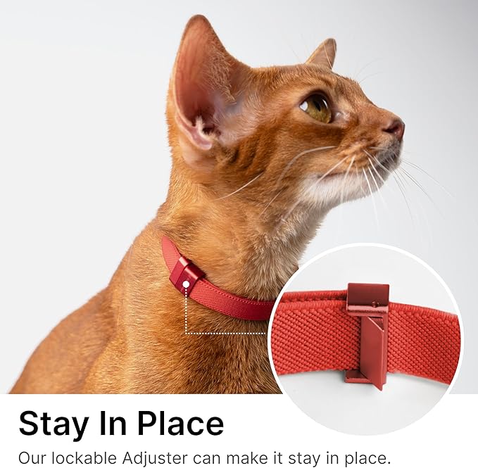 Safety Cat Collar Pro, Lightweight Elastic Release Non Breakaway Cat Collar Adjustable with Snap Fastener for Kitten All Small Large Cats, US IDA Gold Award (Alpine Green, S 5.9-11.8")