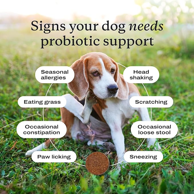 PetLab Co. Probiotics for Dogs, Support Gut Health, Occasional Diarrhea, Digestive Health & Seasonal Allergies - Pork Flavor - 30 Soft Chews - Packaging May Vary