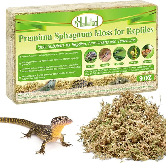 Halatool 9OZ Natural Sphagnum Moss for Reptiles Premium Reptile Moss Ideal Terrarium Moss for Box Turtles Hermit Crabs Leopard Gecko Snakes and Hamsters Enclosure