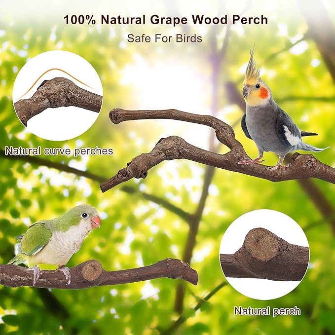 Mogoko 5PCS Bird Perch Natural Wood Grape Stick Stand, 3 Grape Stick Paw Grinding Fork Parakeet Chewing Stick 2 Parrot Stand Branch, Chewing Exercise Branches Bird Cage Accessories