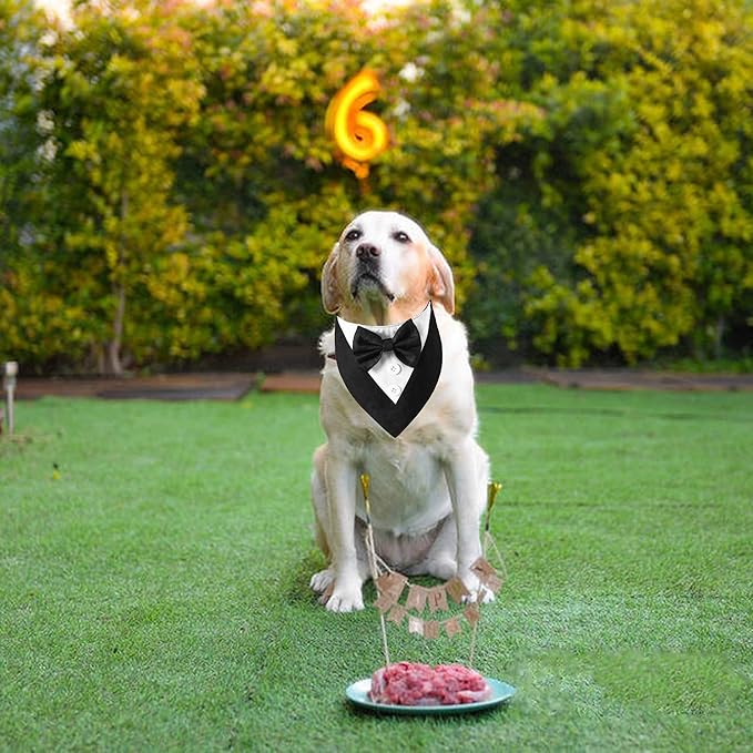 ADOGGYGO Formal Dog Tuxedo, Wedding Dog Bandana Collar with Bowtie, Adjustable Pet Birthday Wedding Tux Outfit for Extra Large Dogs (XL, Black)