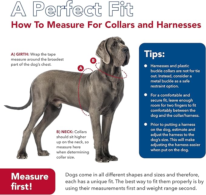 Coastal Pet SecureAway Collar Protector for Flea Collars - Adjustable pet Accessory - Protective Flea Collar for Dogs & Puppy - Black, 5/8" x 10-14"