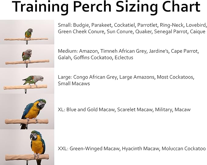 Parrot Training Perch Stand with Potty Tray (T Perch, Small)