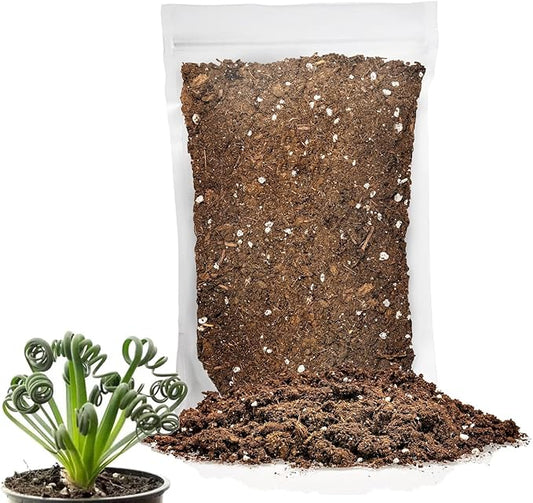 Gardenera Premium Albuca Spiralis Potting Soil Mix - Perfect Balance of Nutrients, Drainage, and Aeration for Thriving Blooms - 2 Quart