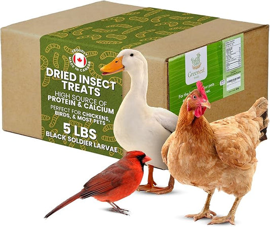 Dried Black Soldier Fly Larvae for Chicken - Treats for Hens, Duck, Wild Birds, Lizard, Tortoise, Fish - All Natural High Protein Dried Mealworms Alternative - Made in North America