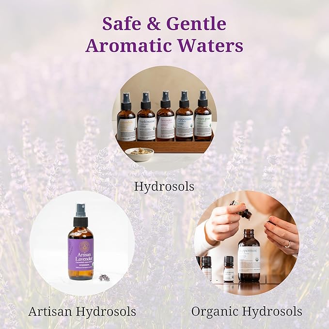 Aromatics International Chai Co-distill Hydrosol 100ml | Spiced Aromatic Mist for Daily Use