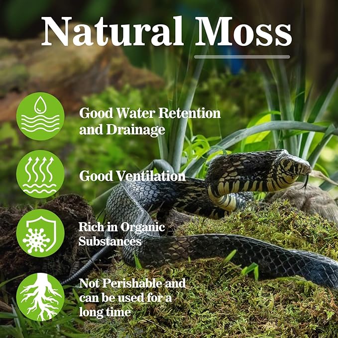 Sukh Sphagnum Moss for Reptiles -Terrarium Moss for Reptiles Peat Moss for Reptiles Habitat Bedding Moss for Snakes Turtle Frog Gecko and Other Reptiles Substrate (15.8, Ounces)