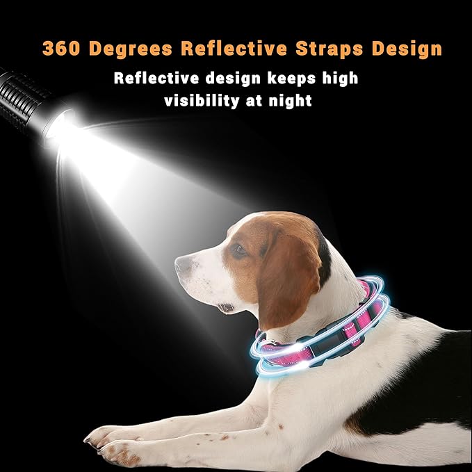 2 Pack Reflective Dog Collar with Safety Locking Buckle, Adjustable Soft Breathable Comfortable Nylon Pet Collar for Small, Medium and Large Dogs, Hotpink, L