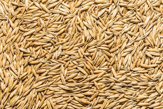 Thunder Acres Non GMO, Certified Organic, Oat Seed (1 lb.)