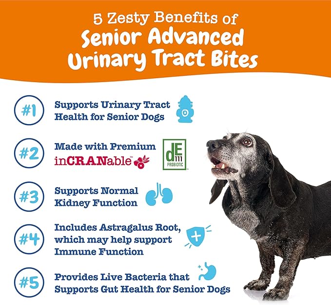 Zesty Paws Senior Cranberry Supplement for Dogs - Bladder Control for Senior Dogs - Urinary Tract Support - Cranberry Chews - Immune & Gut Support - Chicken - 90 Count