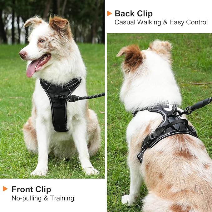 Taglory Light Up Dog Harness, Rechargeable No Pull Dog Vest with 3 Lightning Modes, Reflective Dog Harness with 2 Leash Clips & 4 Adjustable Slide Strips for Large Dogs, Black-Blue, XL