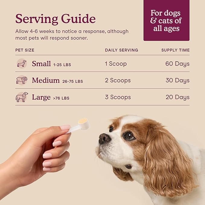 Fera Pets Bladder Support - Cranberry for Dogs & Cats - D-Mannose & Marshmallow Root - Urinary Tract Support - Supports Normal Urine pH - Boosts Immunity - 60 Scoops
