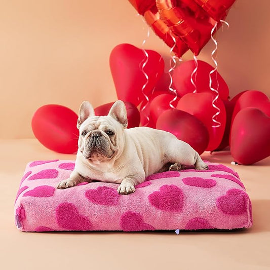LE SURE Dog Beds Medium Size-Thick Shredded Chopped Foam Pet Bed Indoor with Removable Cover, Cute Modern Fuzzy Plush & Anti Slip Bottom, Pink