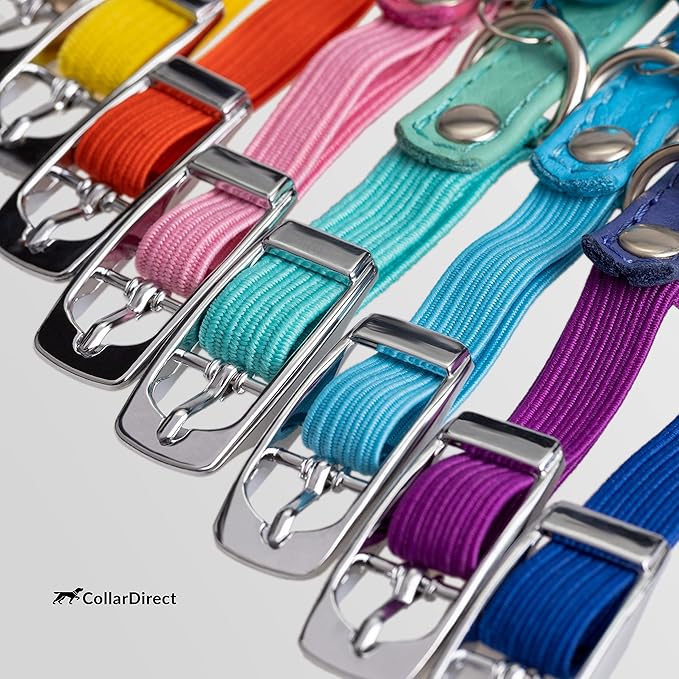 CollarDirect Leather Cat Collar, Kitten Collar with Removable Bell Black Blue Red Orange Lime Green (8-11 Inch, Purple)