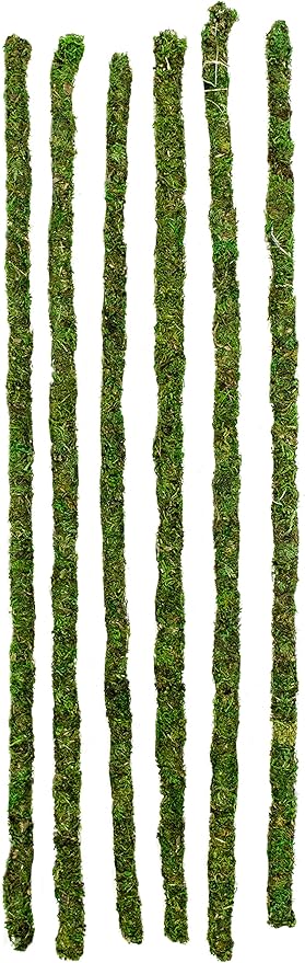 Supermoss Galápagos (05321) Mossy Terrarium Sticks (6 Pack), 24"