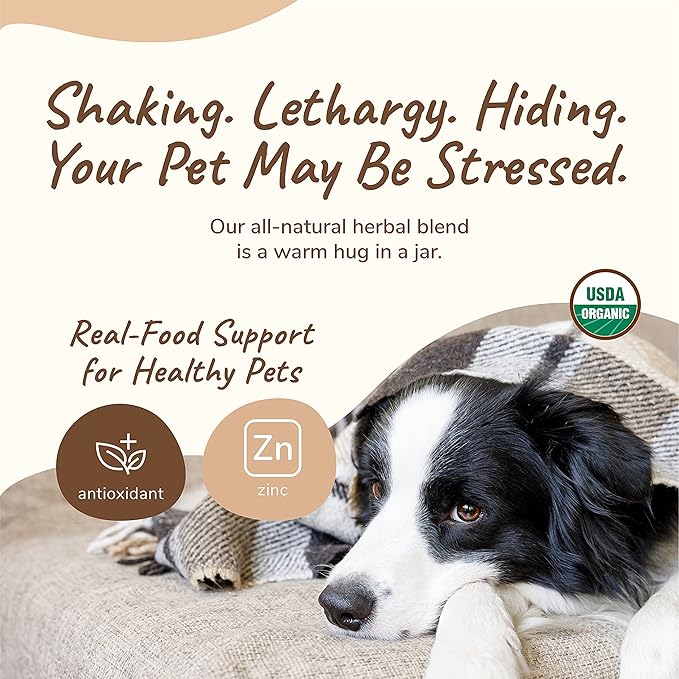 kin+kind Healthy Calm Supplement for Dogs & Cats - Vet Formulated Natural Formula with Organic Chamomile, Thyme, Apple Pomace, Ginger and Coconut- Made in USA - 4 oz (Medium)