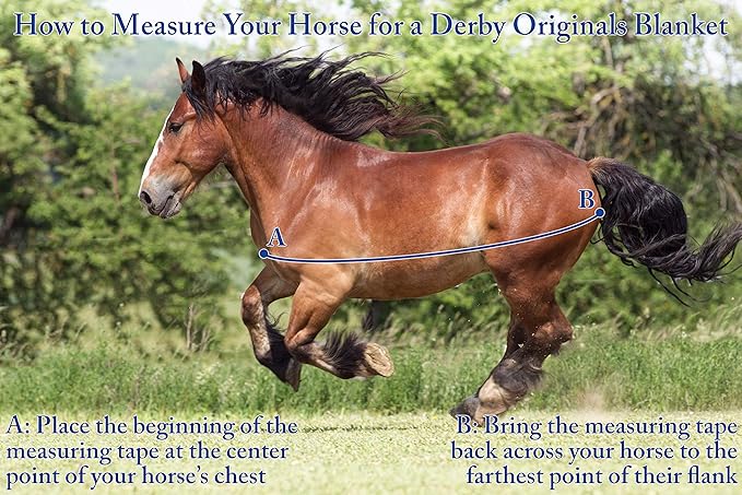 Derby Originals Nordic-Tough 1200D Heavyweight Mini Horse & Pony Turnout Blanket – Waterproof, Breathable, 300g Insulation, 210T Lining, Reflective, 2-Year Warranty (Turquoise, 54")