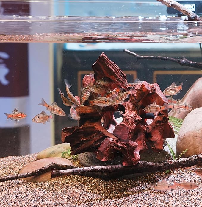 Natural Wood Aquarium Cave Betta Fish Hideout for Aquarium Fish Tank Decorations-Reptile Hide-Snake Hide-Cave for Cichlids Habitat Shelter for Crayfish Shrimp and Other Aquatic Pets 6.1-9.8"